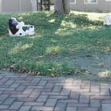 公園