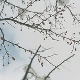 空