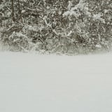 雪