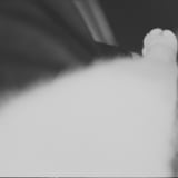 ねこ