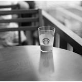 First Shot