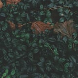 湿度