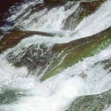 Stream