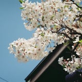 TestShot