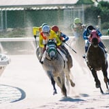 大井競馬場