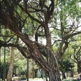 二二八和平公園