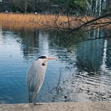 君たちはどう（以下略