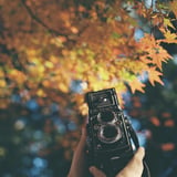 フィルムが似合う季節