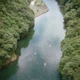安房川 2022.07