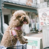 国産中判フィルム写真展(東京会場)最終日