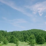 夏の高原