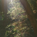 北高尾山陵