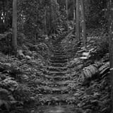 苔むした石段