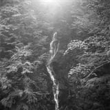 光の滝