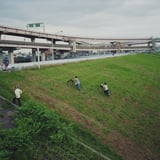 道なき道を逝け