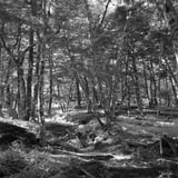 美しき険路