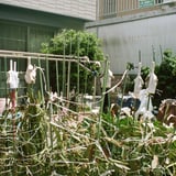 不穏な花園