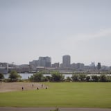 いつかの夏の日