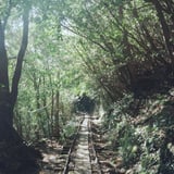 緑のトンネル