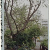 110用ホルダー