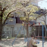 美しい日々
