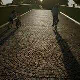 夕暮れの帰り道