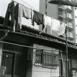 洗濯物
