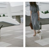 美女と野良猫