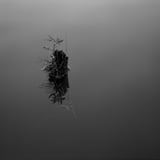 水鏡