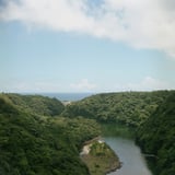 続・安房川2022.07