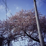 かつての日常 2