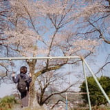 桜とブランコ