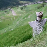 案山子