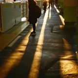 in the light