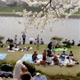 最高の午睡