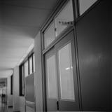母校①
