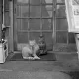 漁村の兄弟