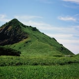 大野亀