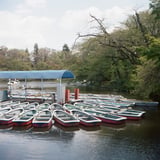 井の頭公園