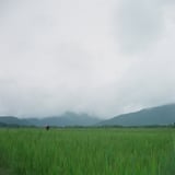 尾瀬ヶ原