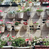 Flower Wall