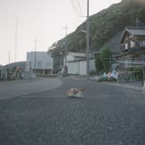 海辺の町