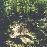 リアカーの墓場
