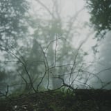 結露