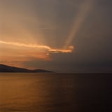 夏の光