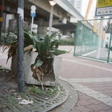 生命力