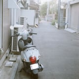 冬の光