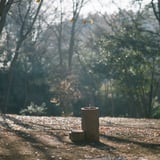 ただの水飲み場