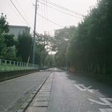 なんの変哲もない道。