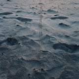 Footprint